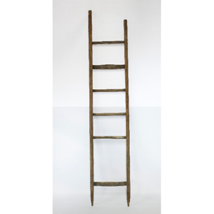 Oude ladder kort